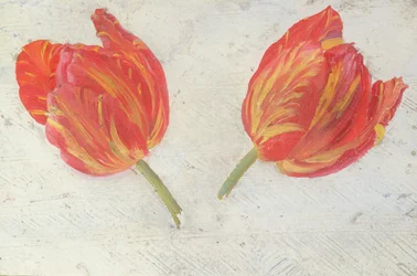 Studies van tulpen, c.1830