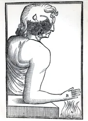 De waarneming van de zintuigen, uit De Homine Figuris door René Descartes (1596-1650) gepubliceerd in Amsterdam, 1677