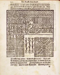 Training en planten in de tuin, uit De Nederlandse Tuinman, door Johann van der Groen, gepubliceerd 1699
