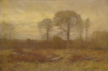 November, 1904-1905