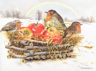 Roodborstjes met Appels
