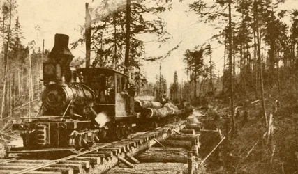 Een houtkapspoorweg, Brits Columbia, 1930