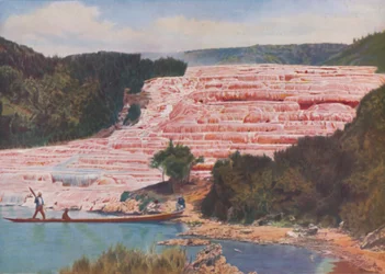Flushed Beauty van de roze terrassen van Nieuw-Zeeland voor hun volledige vernietiging, ca. 1935