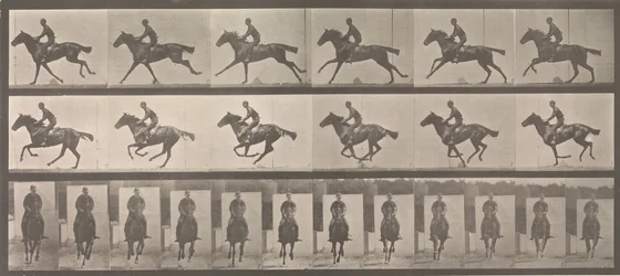 Paard en ruiter galopperen
