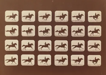Paarden. Rennen. Phyrne L. Nr. 40, 1879