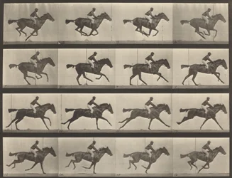 Plaat Nummer 626. Gallop, volbloed bruine merrie, Annie G., 1887