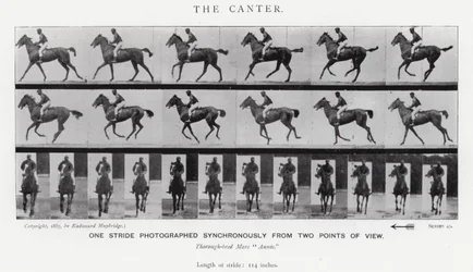 Eadweard Muybridge: De galop
