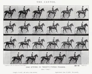 De canter