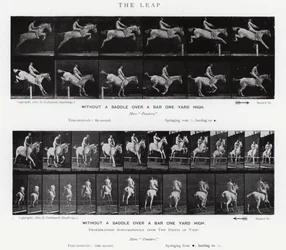 Eadweard Muybridge: De sprong (zwart-wit foto)