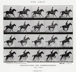 Eadweard Muybridge: De Sprong