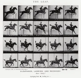 Eadweard Muybridge: De sprong