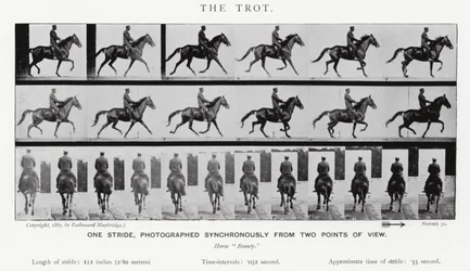 Eadweard Muybridge: De draf