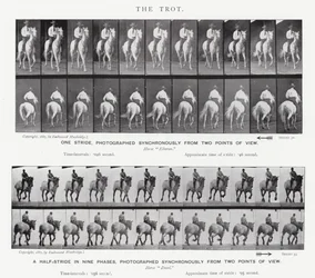 De galop