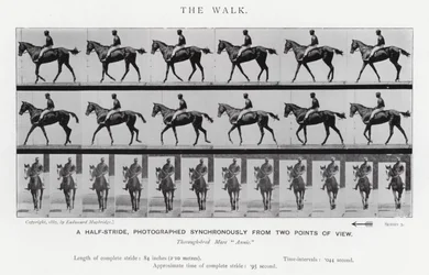 Eadweard Muybridge: De wandeling (zwart-wit foto)