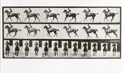 Paard en ruiter, Plaat 621 uit Animal Locomotion, 1887