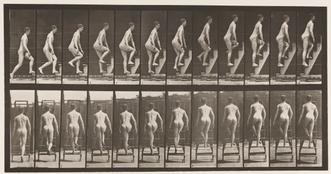 Plaat 109. Trapladder beklimmen, 1872-1885