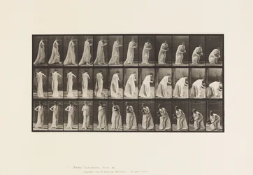 Plaat 205. Dragen en bukken met vaas, 1885