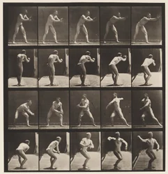 Plaat 282. Honkbal; Vangen en gooien, 1885