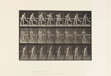 Timmerman, zagen