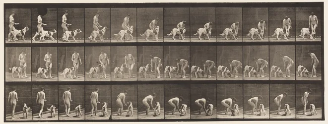 Plaat 449. Een hond voeren