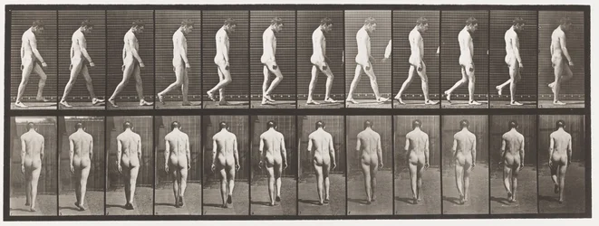Epilepsie; lopen