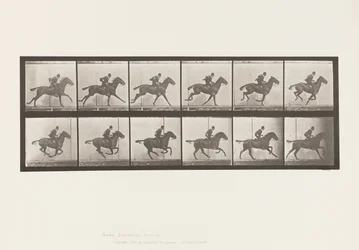 Plaat 624. Galop; Zadel; Bruin Paard Daisy