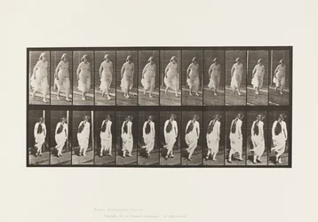 Plaat 71. Rennen, 1885