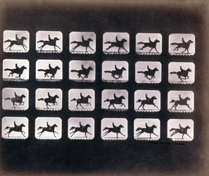 Rennen (Galopperen) door Eadweard J. Muybridge
