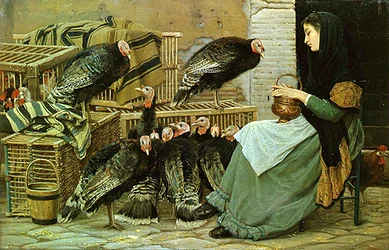 Kerstkalkoenmarkt in Rome