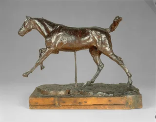 Paard galopperend op de rechtervoet
