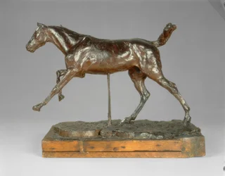 Paard Galopperend op de Rechtervoet