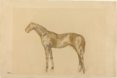 Paard, ca. 1890
