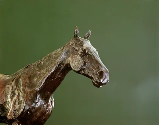 Paardenhoofd (brons) (detail)