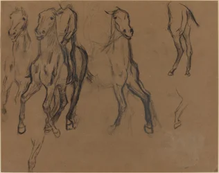 Studie van Paarden