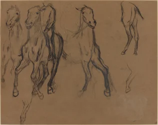 Studie van Paarden