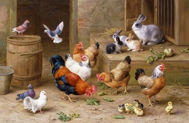 Boerderijvrienden