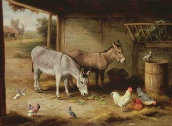 Boerderijvrienden