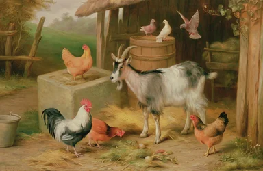Boerenerf scène