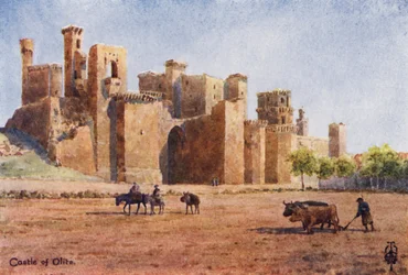 Noord-Spanje: Olite, het kasteel