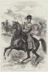 De Franse Keizerlijke Garde, Paardenartillerie