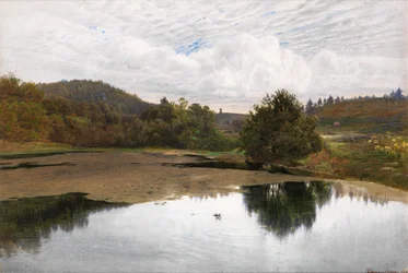 Leith Hill, vanaf Broadmoor, Surrey