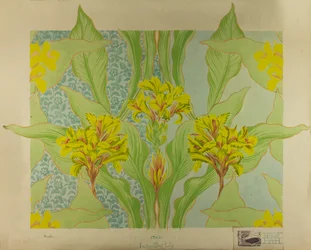 Indische schietlelie, ca. 1895