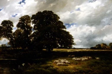 Landschap met Schapen