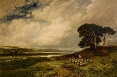 Landschap met Schapen