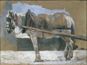 Gespannen paard