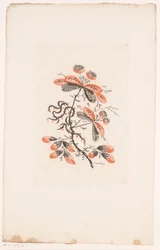 Bloemen en knoppen