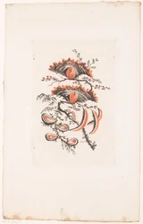 Waaiervormige bloemen