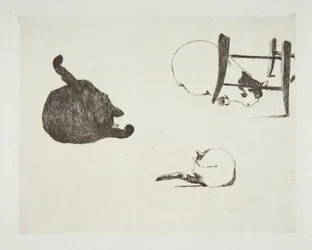 Katten, 1868-69