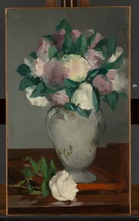 Pioenrozen