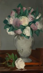 Pioenen, 1864-65